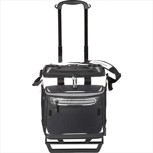 Arctic Zone Titan Deep Freeze Rolling Cooler w/ Cold Block
