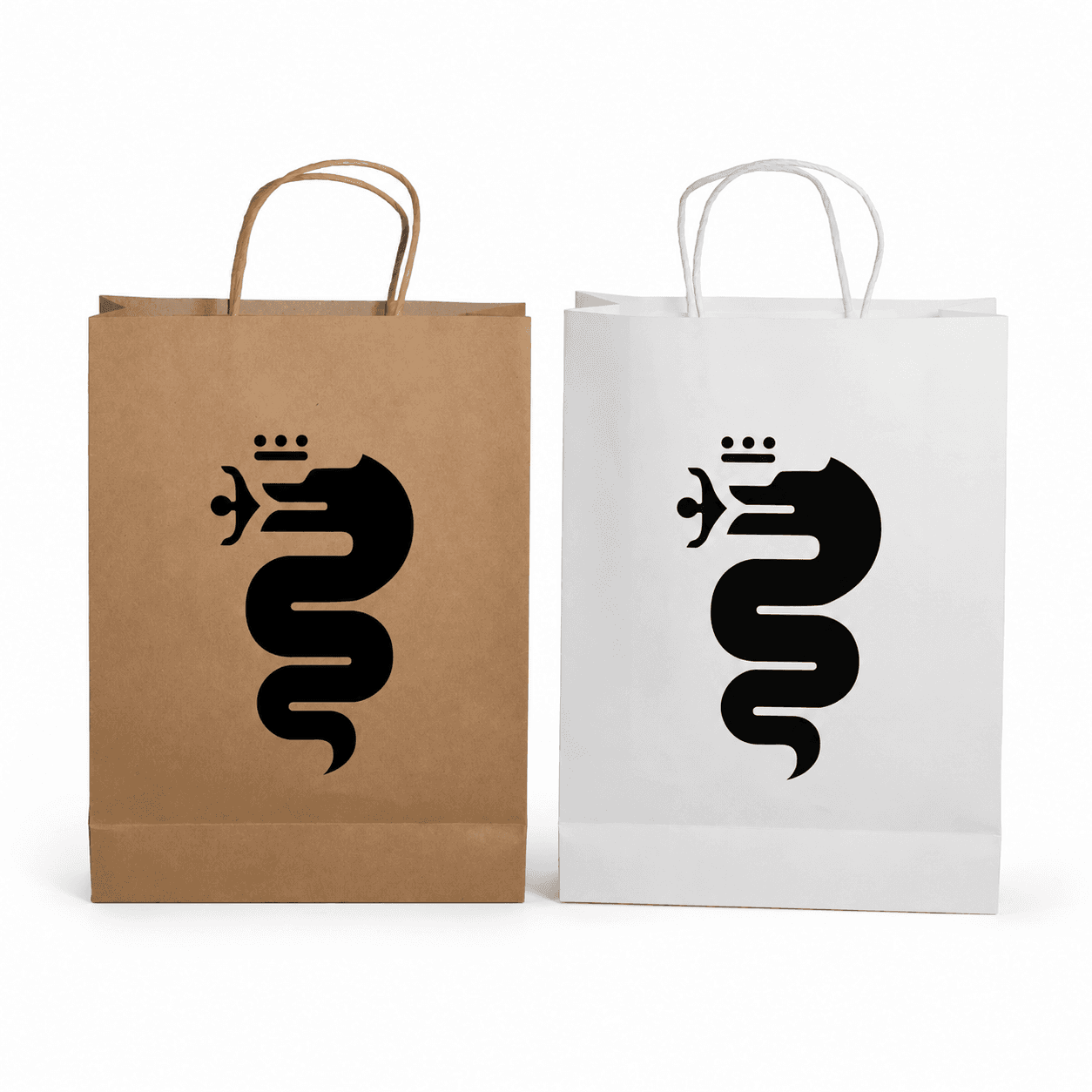 Paper Show Bag
