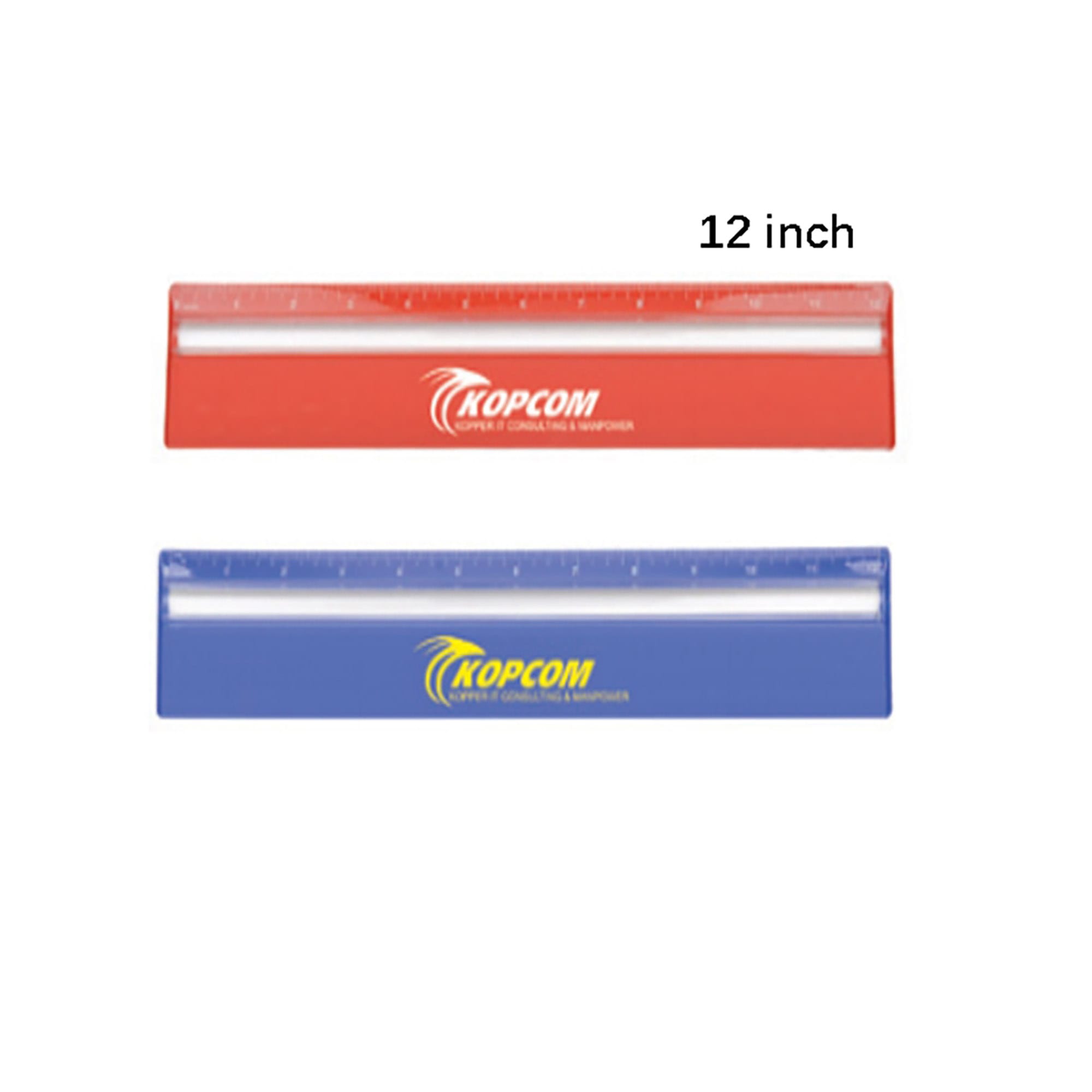 30cm Ruler with Colour and Magnifying